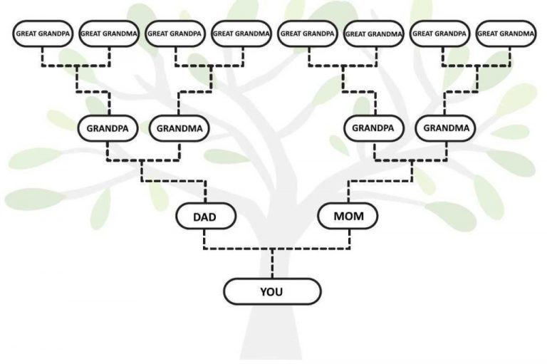 Árvore Genealógica O Que é E Como Entender 2084